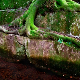 La Grande Lande, Brix, Normandy