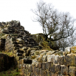 Detail of Hadrian's Wall at Willowford