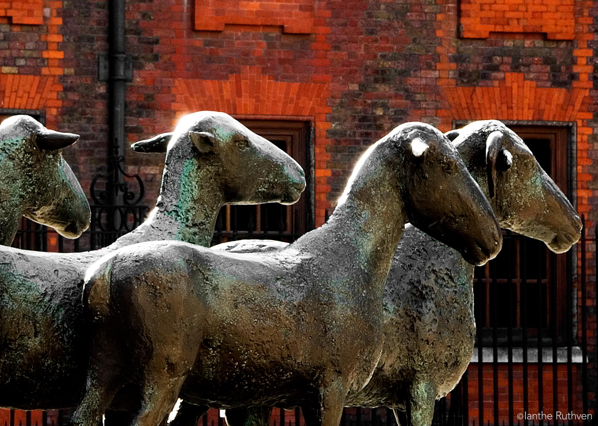 Detail of Elizabeth Frink's bronze Shepherd and Sheep (1975), Paternoster Square, EC4 - formerly the site of a livestock market.