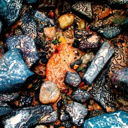 Snail trails on pebbles