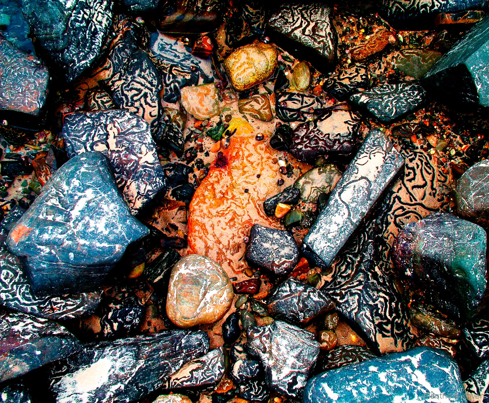 Snail trails on pebbles