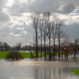 Flooding at Wallingford, Oxon