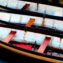 Skiffs at Twickenham