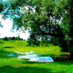 The source of the Thames at Kemble, Glos