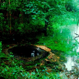 Source of Thames at Lyd Well